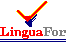  LinguaFor - Internship in Spain