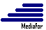  MediaFor - Internship in Spain